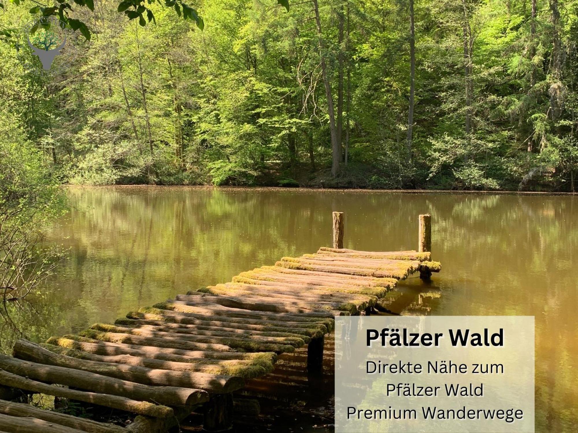 Schuhpartment Am Pfaelzer Wald Naehe Outlet Center Zweibruecken Daire Pirmasens Dış mekan fotoğraf